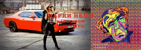 скорость Белокуриха
